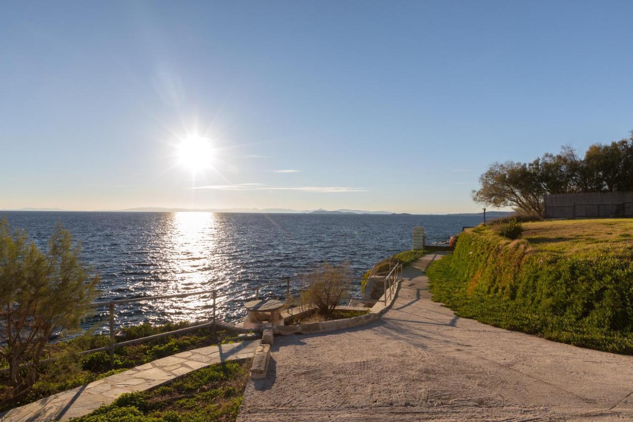 Luxurious Villa Philoxenia Lagonisi Exterior photo